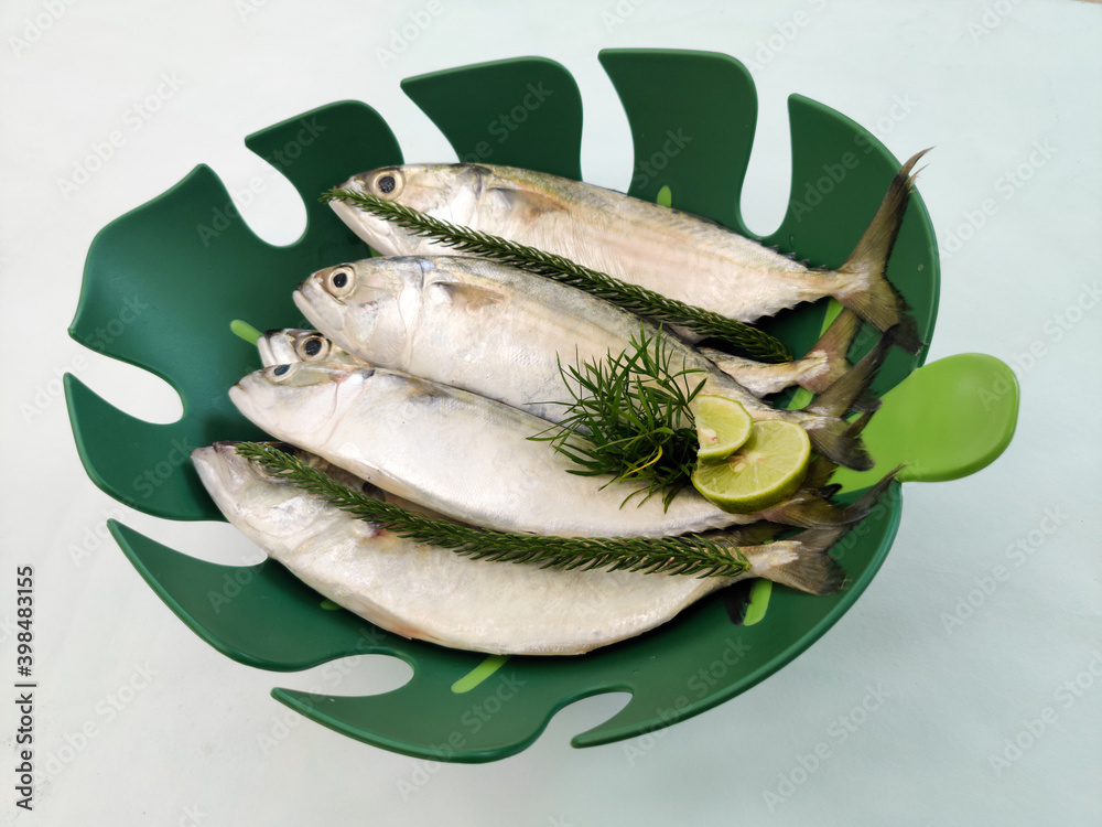 Fresh Indian Mackerel Fish Decorated with herbs on a green bowl,White Background.Selective focus. Fresh Indian Mackerel Fish Decorated with herbs on a green bowl,White Background.Selective focus.