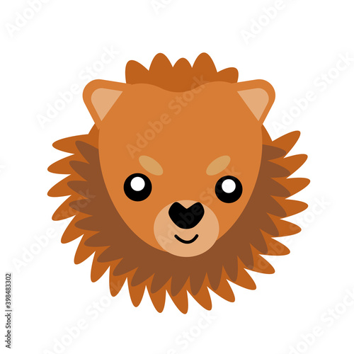 Vector icon portrait of a small dog drawn in the style of flat. Cute Pomeranian dog logo. Vector illustration in cartoon style. Toy dog