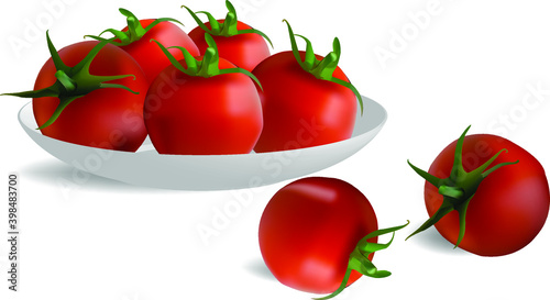 ripe tomatoes in a plate. vector illustration