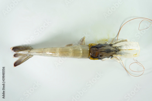 close up of peeled shrimp head to see inside head and body