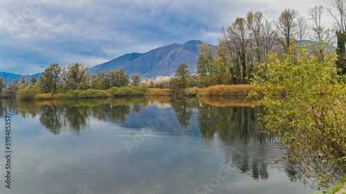 Veduta del lago nella palude  in autunno  con suggestivi alberi colorati di giallo