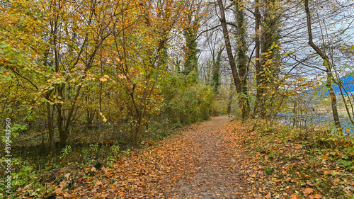 Sentiero che passa attraverso il bosco, in autunno, con suggestivi alberi colorati dei colori dell'autunno.  © fotonaturali