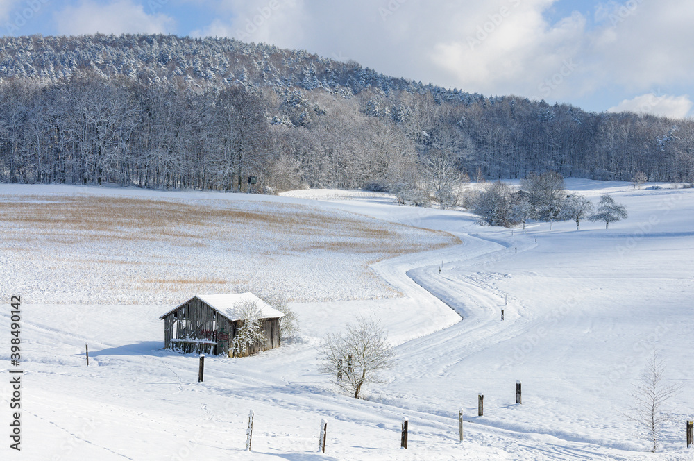 Schneelandschaft