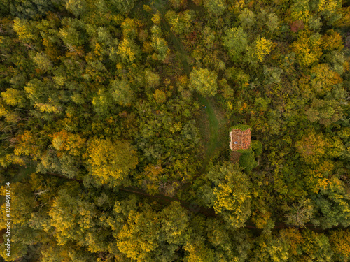 Fotografie Aerial shot of trees on a greenfield