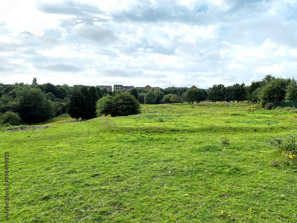 Large meadow, with wild plants, and distant trees, on the outskirts of, Leeds, Yorkshire, UK Large meadow, with wild plants, and distant trees, on the outskirts of, Leeds, Yorkshire, UK