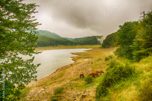 landscape with lake and mountains photo