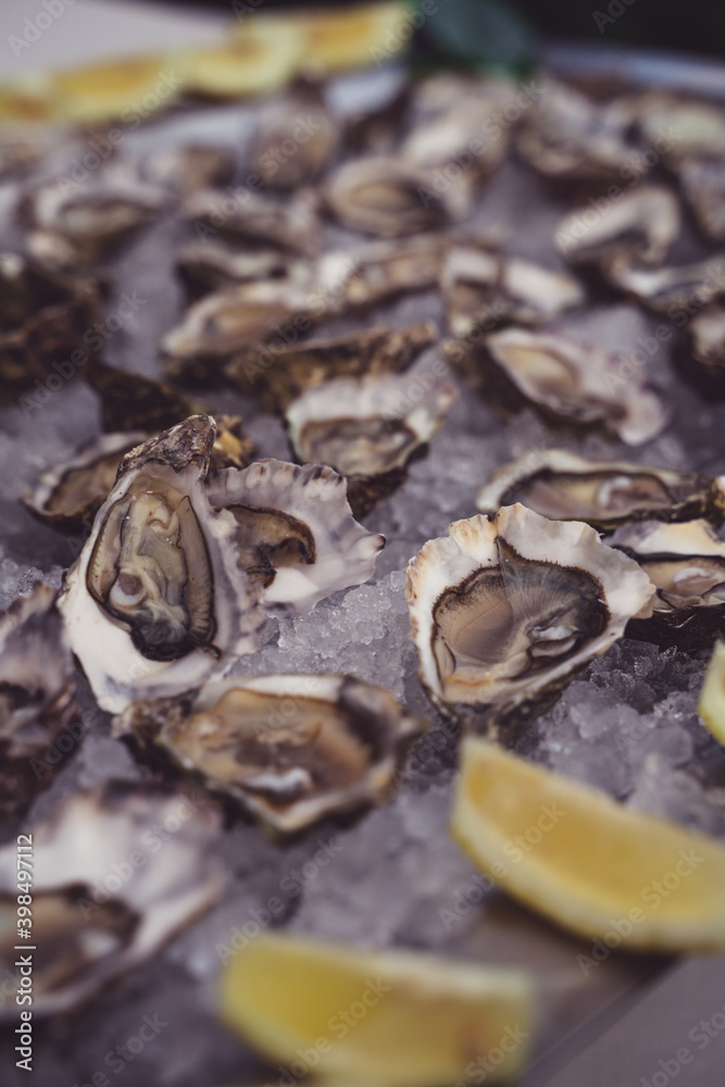 raw quality oyster on plate with lemons raw quality oyster on plate with lemons