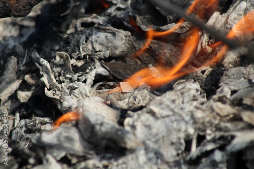 Burning fire burning dried leaves