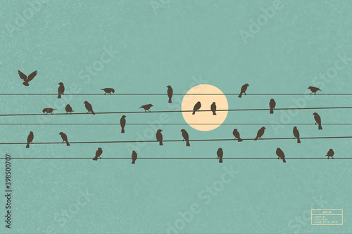 Birds on wires. Flock of crows on power lines. Isolated silhouette