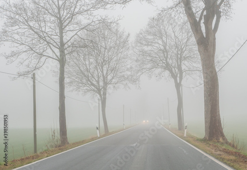 dichter Nebel auf der Straße  © Animaflora PicsStock