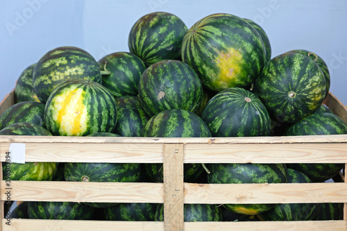 Watermelons Crate