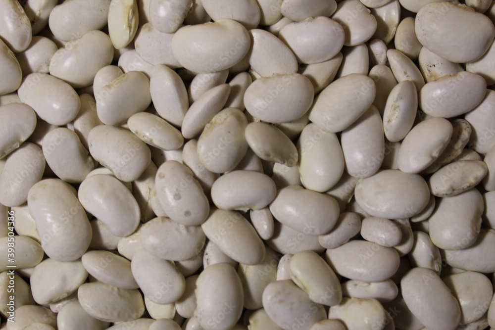 white bean background from food pattern with a copy of the space white bean background from food pattern with a copy of the space