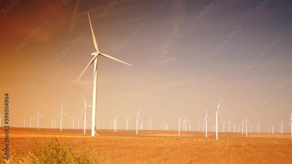 Wind turbine farm generate alternative and eco energy