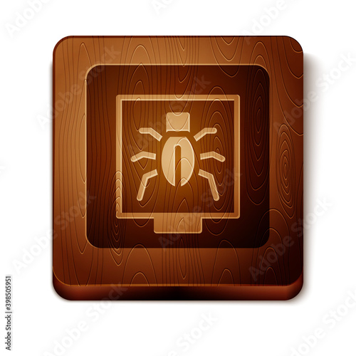 Brown Insects in a frame icon isolated on white background. Herbarium. Wooden square button. Vector.