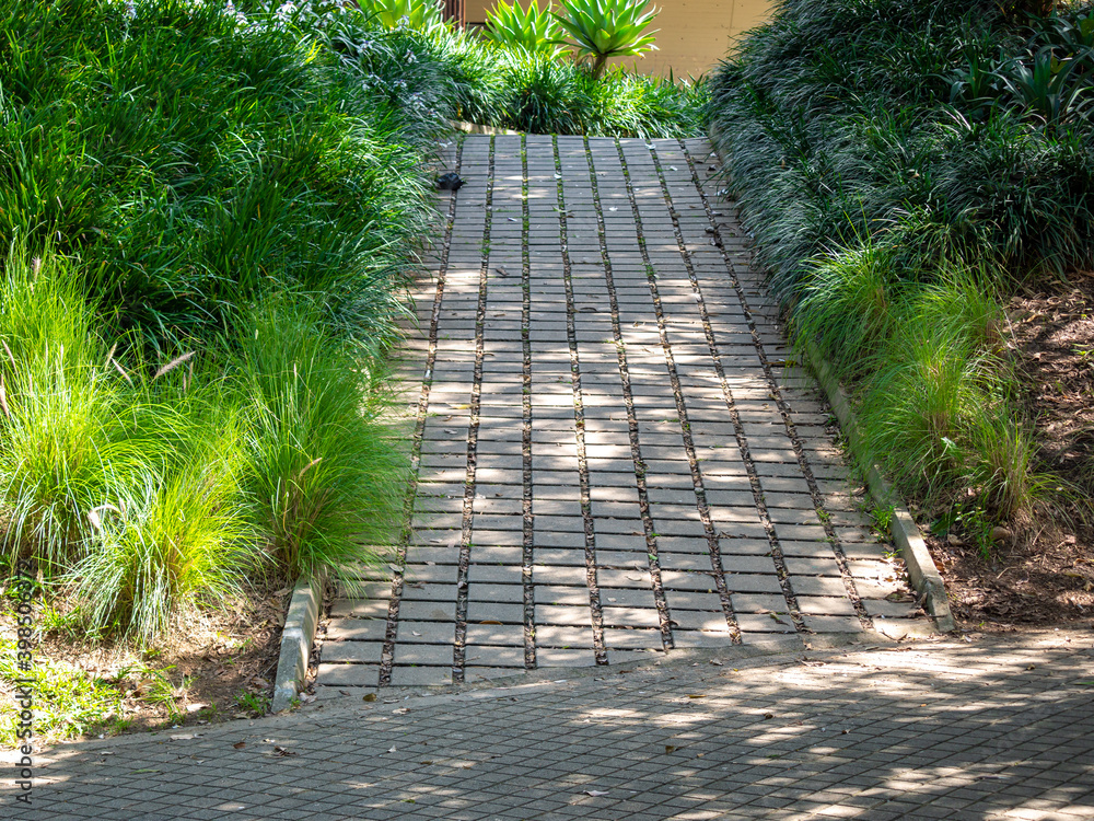 Uphill Stone Path Surrounded by Plants and Grass Uphill Stone Path Surrounded by Plants and Grass