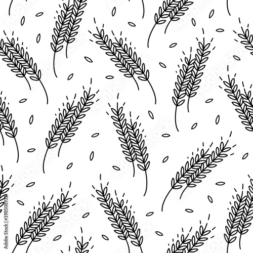 Spikelets and grains of wheat, vector seamless pattern. Outline drawn. Design on the theme of bakery products, flour, harvest. Rye texture ornament.
