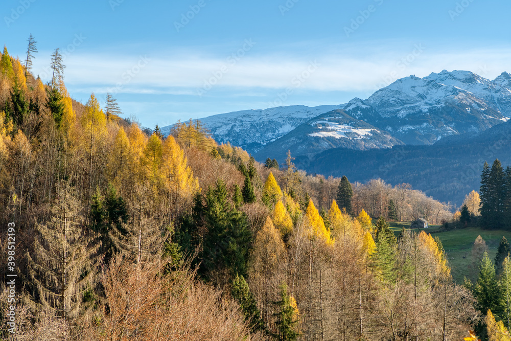 Rocky mountains and autumnal forest with colorful trees. High mountain landscape and amazing light. Colorful autumn scene of Swiss Alps. Location: Berschis, Canton St. Gallen, Switzerland, Europe