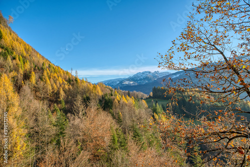 Rocky mountains and autumnal forest with colorful trees. High mountain landscape and amazing light. Colorful autumn scene of Swiss Alps. Location: Berschis, Canton St. Gallen, Switzerland, Europe photo