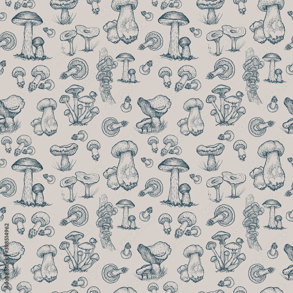Mushrooms mushroom menu .Graphic illustration hand drawn. Seamless pattern. Engraving, doodle, sketch, retro, vintage. Separate elements on the background. Edible mushrooms, boletus, chanterelles