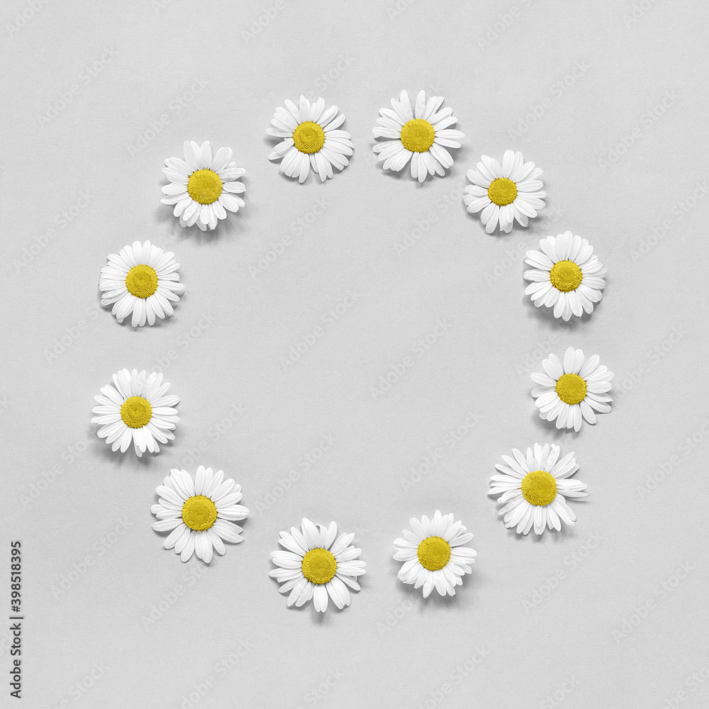 Fototapeta premium Flower composition. Frame floral round wreath of flowers chamomile on gray background. Template for your design Top view Flat Lay Copy space. Trendy colors 2021