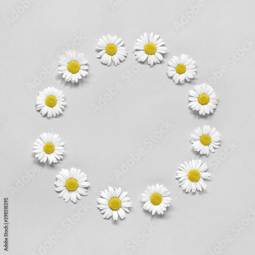 Flower composition. Frame floral round wreath of flowers chamomile on gray background. Template for your design Top view Flat Lay Copy space. Trendy colors 2021