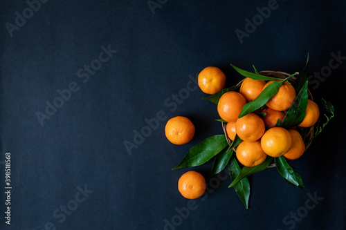 orange tangerines and green leaves on a dark background