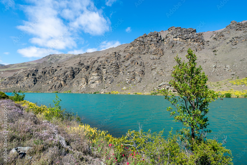 Clutha River with sun on scenic grassy slopes and turquoise rive