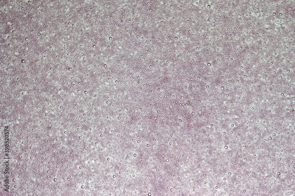 Fototapeta premium Air bubbles pink gray background