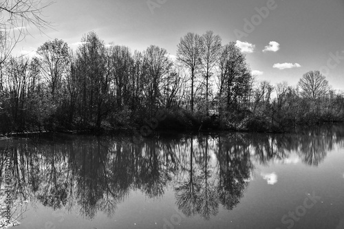 Serene pond and reflections in black and white