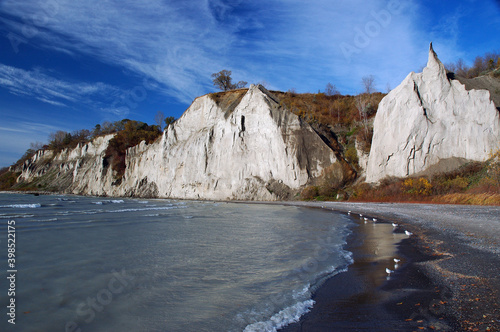 Photography Seagulls queueing in the black beach at the Scarborough bluffs