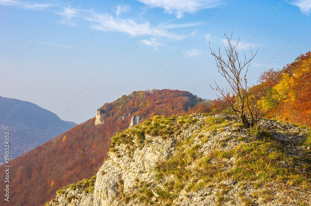 Autumn mountainscape with limestone rocks and bushes on the Swabian Jura at the Alb escarpment near Lichtenstein, Baden-Württemberg, Germany.