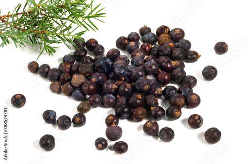 Fresh Vegetables - Juniper Berries with Juniper Twig on white Background Isolated