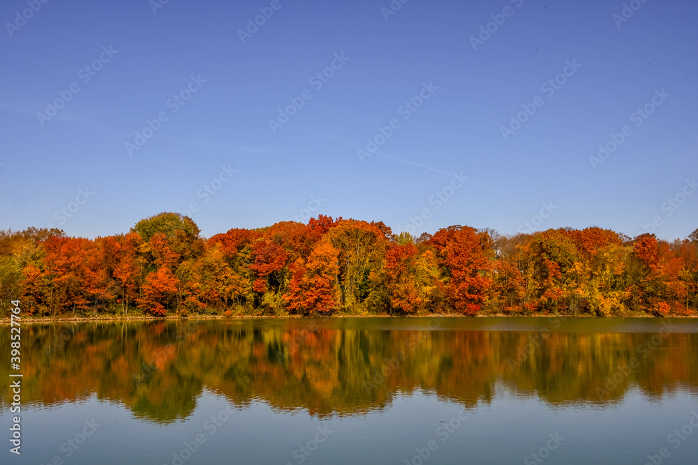 Fototapeta premium Pond with Autumn Trees and blue sky