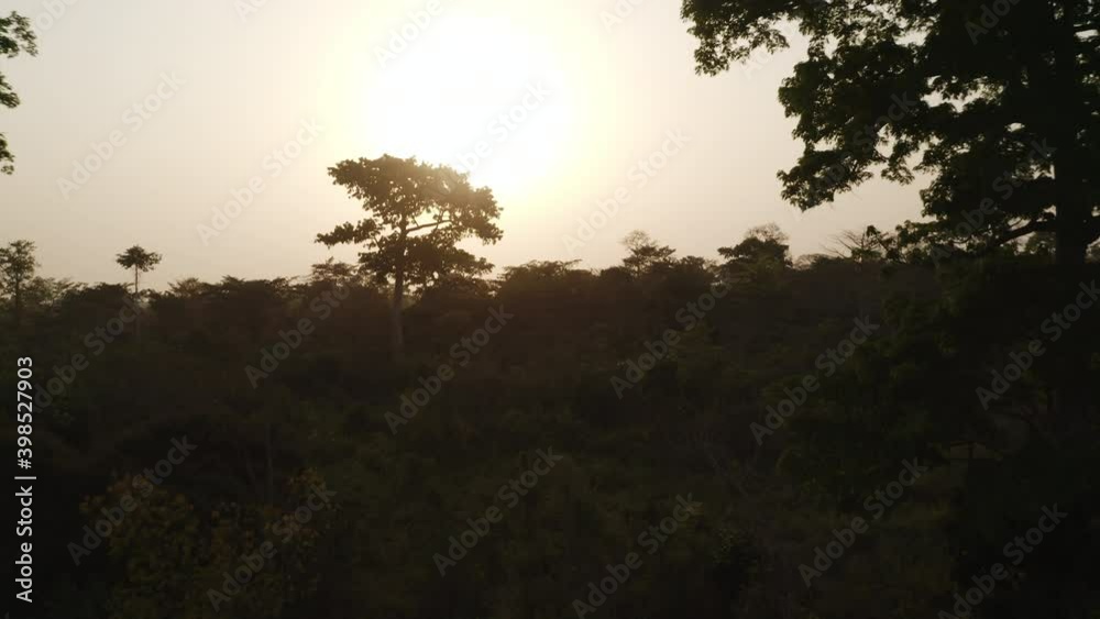 Aerial shot of Africa mood, beautiful green wild shot with sunset Aerial shot of Africa mood, beautiful green wild shot with sunset