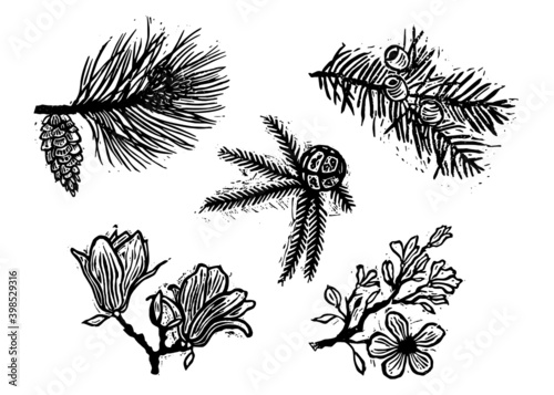 Linocut stamps of trees, sakura, magnolia, thousand berry, pine, cypress, ginkgo, linden 