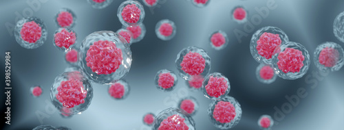 Stem cells in amniotic fluid - Banner format photo