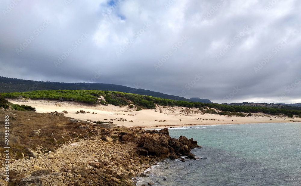 Seascape in the Beach of Bolonia. View of the dunes and pine forest. Tarifa. Spain. 