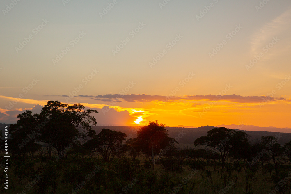 View of the sunset in the serengeti