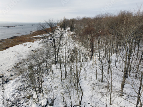 une forêt enneigée en hiver photo