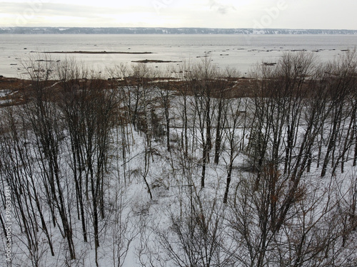 une forêt enneigée en hiver photo