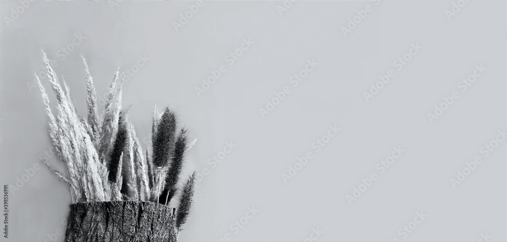 Dried flowers in vase of tree bark on gray background. The concept of more nature in homes during pandemic.Colors of the year 2021- Gray Dried flowers in vase of tree bark on gray background. The concept of more nature in homes during pandemic.Colors of the year 2021- Gray