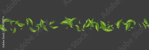 Seamless pattern beautiful flying green tea leaf isolated on white. Leaves spring background. Foliage nature plant for design, advertising, packaging products. Vector illustration