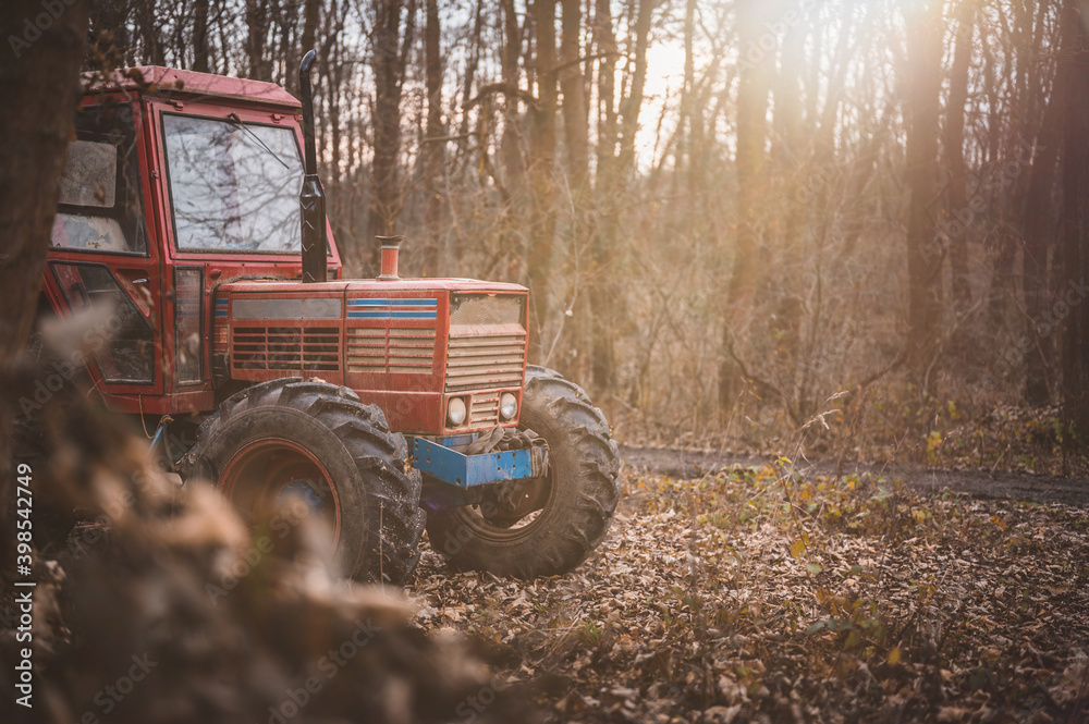 Old red tractor in autumn forest. Forestry tractor or forestry tractor for harvesting wood in the forest. Old red tractor in autumn forest. Forestry tractor or forestry tractor for harvesting wood in the forest.