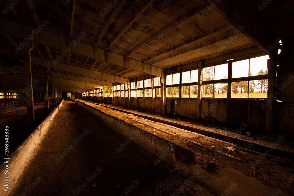 Old abandoned cowshed with broken windows in warm sunset lights.