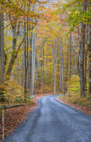 Country Road in the hills of Maryland © Country Gate Prod.