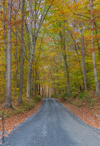 Country Road in the hills of Maryland