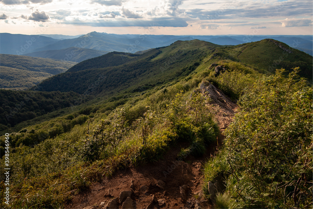 Fototapeta premium Szlak górski wśród zielonych wzgórz, Bieszczady, Polska