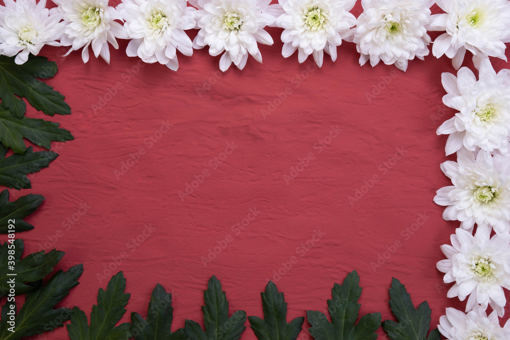 Obraz premium white chrysanthemum buds and leaves in the form of a frame on a table