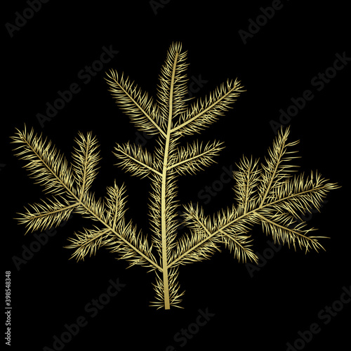 Сoniferous branch of spruce, fir or pine tree under snowflakes. Christmas greeting. New year design. Seasonal winter art. Creative concept. Glossy golden silhouette on black background.