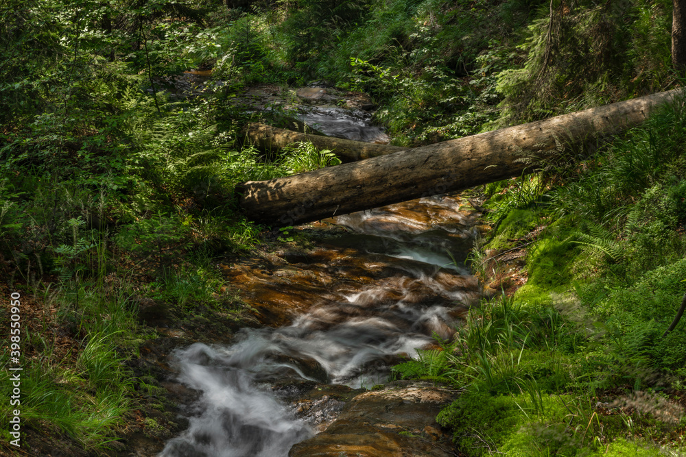 Small waterfall on Divoky creek near Kouty nad Desnou village in summer day Small waterfall on Divoky creek near Kouty nad Desnou village in summer day